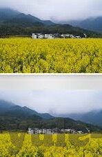 大家嬴足球比分-揭秘大家嬴足球比分，理性看待预测，享受纯粹足球乐趣