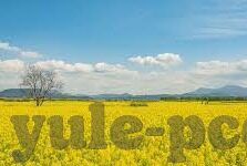 足球比分网500彩票-深度解析，足球比分网与500彩票——球迷的双重利器还是潜在风险？
